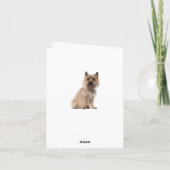 Cairn Terrier Puppy Dog Bedankt Blank Note Kaart (Achterkant)