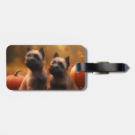 Cairn Terrier Puppy Herfst Delight Pompoen Bagagelabel (Achterkant horizontaal)