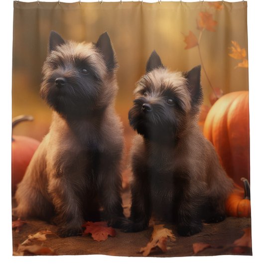 Cairn Terrier Puppy Herfst Delight Pompoen Douchegordijn (Voorkant)