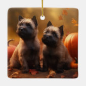 Cairn Terrier Puppy Herfst Delight Pompoen Keramisch Ornament (Achterkant)