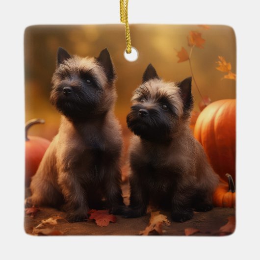 Cairn Terrier Puppy Herfst Delight Pompoen Keramisch Ornament (Voorkant)