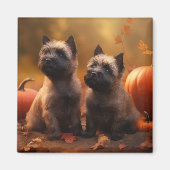 Cairn Terrier Puppy Herfst Delight Pompoen Magneet (Voorkant)