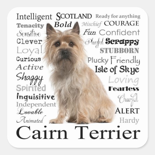 Cairn Terrier Ras Traits Stickers (Voorkant)