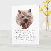 Cairn Terrier Regenboogbrug Kaart (Gele Bloem)