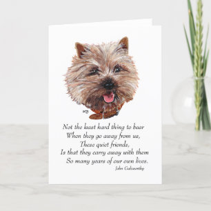Cairn Terrier Regenboogbrug Kaart