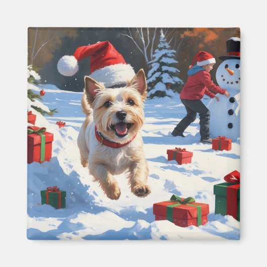 Cairn Terrier Rent in de Sneeuw met Kerstmuts Magneet (Voorkant)