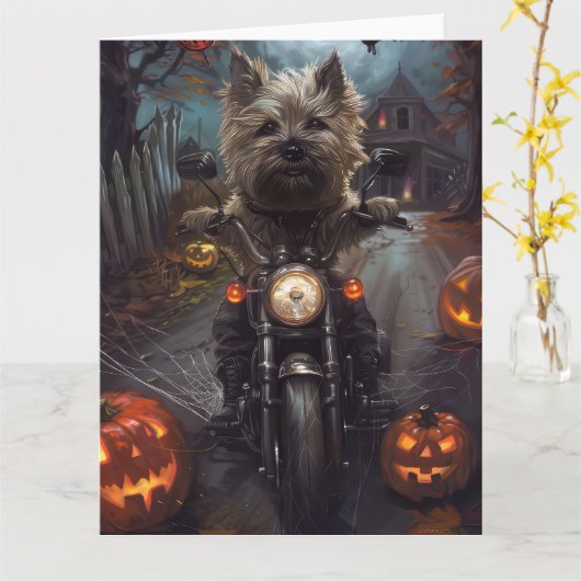 Cairn Terrier Rijden Motorfiets Halloween Eng Kaart (Gele Bloem)