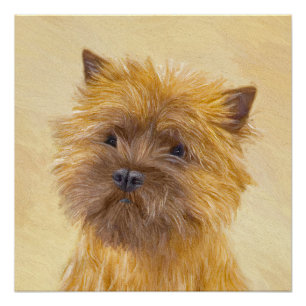 Cairn Terrier Schilderij - Mooie Originele Honden  Perfect Poster