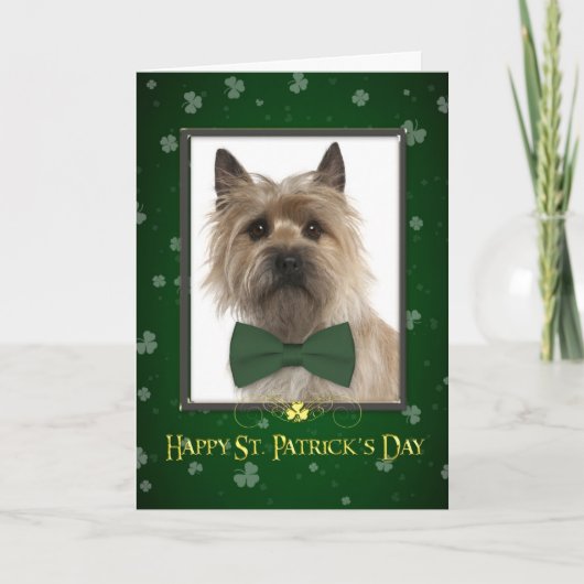 Cairn Terrier St. Patrick's Day Kaart (Voorkant)