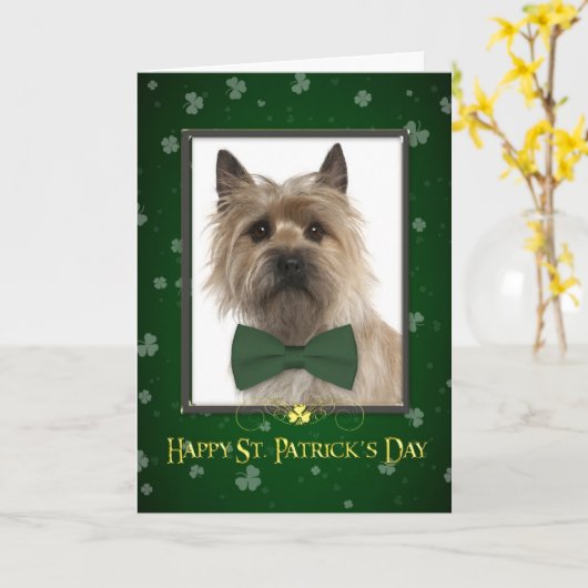 Cairn Terrier St. Patrick's Day Kaart (Gele Bloem)