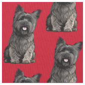 Cairn Terrier Stof (Close Up)