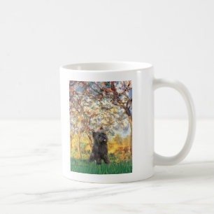 Cairn Terrier (Tigerschimmel 21) - Lente Koffiemok