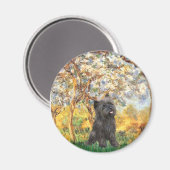 Cairn Terrier (Tigerschimmel 21) - Lente Magneet (Voorkant / Achterkant)