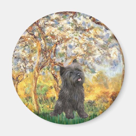 Cairn Terrier (Tigerschimmel 21) - Lente Magneet (Voorkant)