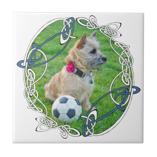Cairn Terrier Voetbal Tegeltje (Voorkant)