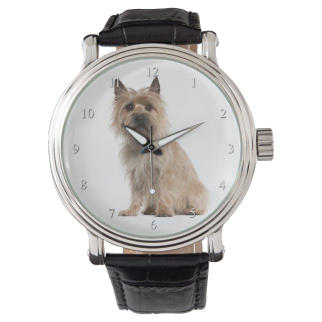 Cairn Terrier Watch Horloge (Voorkant)
