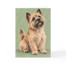 Cairn Terrier Wenskaart