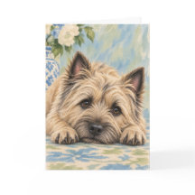 Cairn Terrier Wenskaart