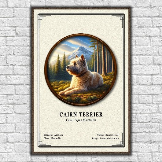 Cairn Terrier Zoology Series Poster