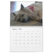 Cairn Terriers 2012 Agenda Kalender (Feb 2026)
