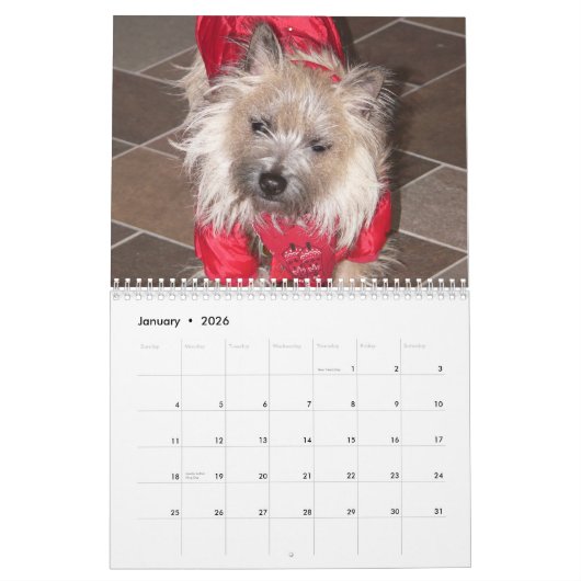 Cairn Terriers 2012 Agenda Kalender (Jan 2026)