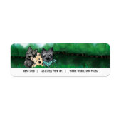 Cairn Terriers Adres Etiket (Voorkant)