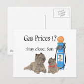 Cairn Terriers Benzineprijzen ?!! Briefkaart (Voorkant / Achterkant)