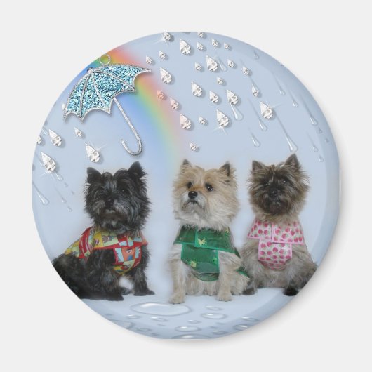 Cairn Terriers in de regenmagneet Magneet (Voorkant)