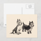 Cairn Terriërs Oude Pen & Inkt Briefkaart (Voorkant / Achterkant)