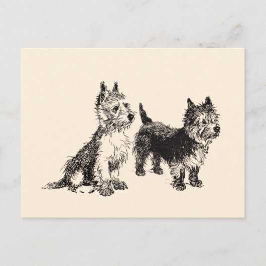 Cairn Terriërs Oude Pen & Inkt Briefkaart (Voorkant)