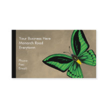 Cairns Birdwing Butterfly Dorsal en Ventral