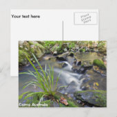 Cairns Forest Australia Post Card Briefkaart (Voorkant / Achterkant)