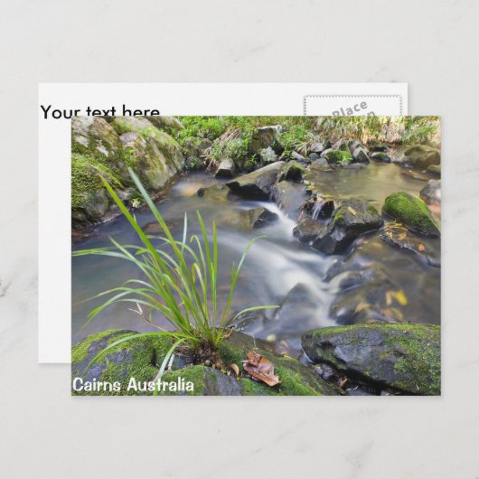 Cairns Forest Australia Post Card Briefkaart (Voorkant / Achterkant)