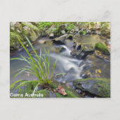 Cairns Forest Australia Post Card Briefkaart (Voorkant)