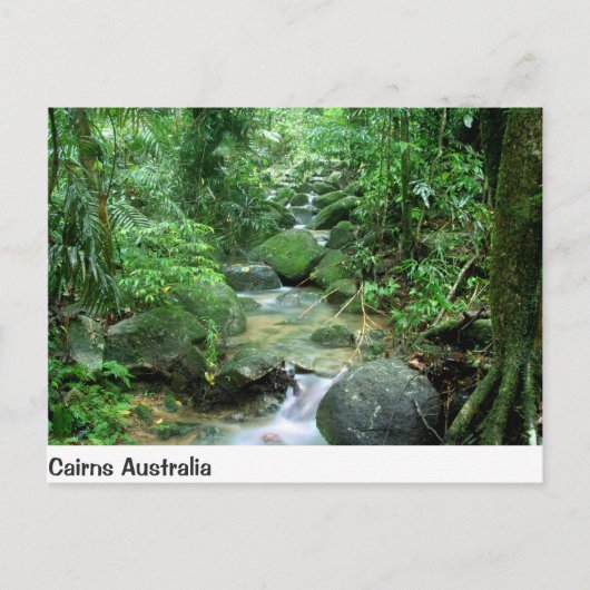Cairns Forest Creek Queensland Australia Post Card Briefkaart (Voorkant)