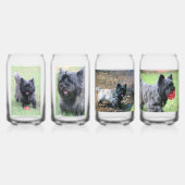 Caïro Blikvorm Glas (Achterkant)