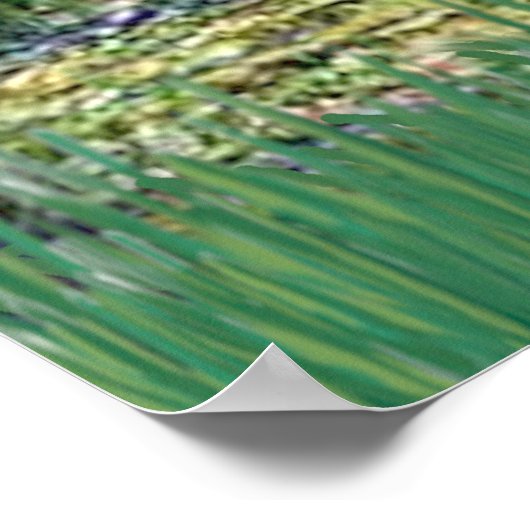 Caïro (Brindle 21) - Lily Pond Bridge Poster (Hoek)