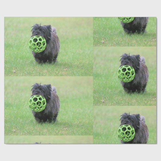 Caïro Cadeaupapier (Vlak)