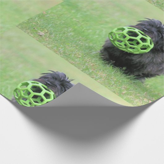 Caïro Cadeaupapier (Hoek)