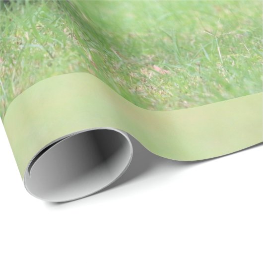 Caïro Cadeaupapier (Rol Hoek)