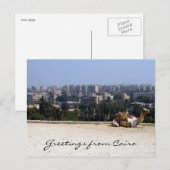 cairo camel briefkaart (Voorkant / Achterkant)