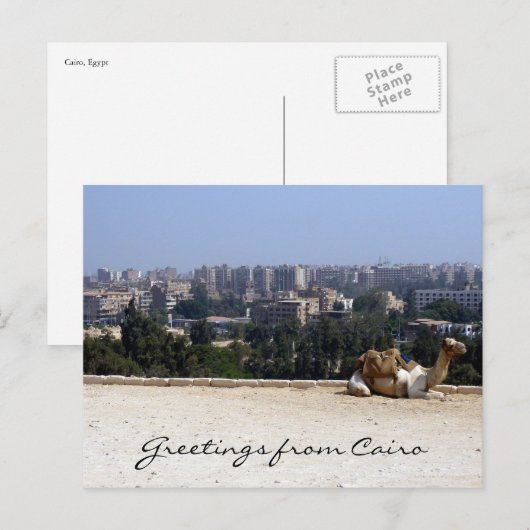 cairo camel briefkaart (Voorkant / Achterkant)