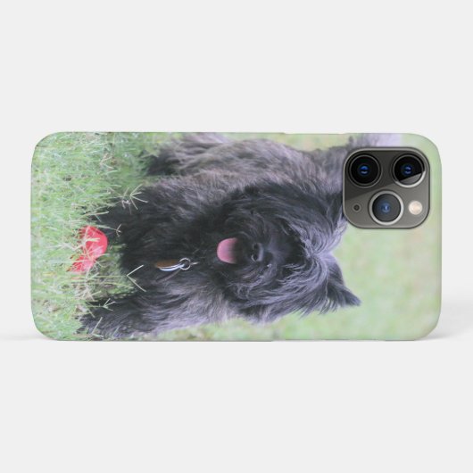 Caïro Case-Mate iPhone Case (Achterkant (horizontaal))