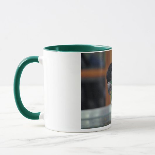 Caïro Crazy. Mok (Links)