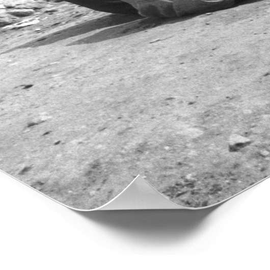 Caïro Egypt, Camel Jockeys Giza Pyramids (NR) 2 Poster (Hoek)