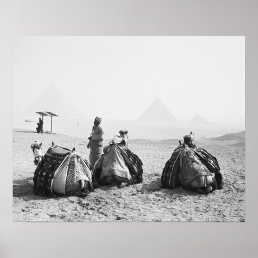Caïro Egypt, Camel Jockeys Giza Pyramids (NR) Poster (Voorkant)