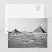 Caïro Egypte, Gizeh Piramides Briefkaart (Voorkant / Achterkant)