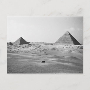 Caïro Egypte, Gizeh Piramides Briefkaart