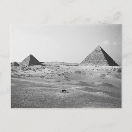 Caïro Egypte, Gizeh Piramides Briefkaart (Voorkant)