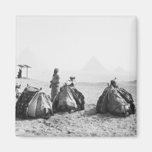 Caïro Egypte, Kameel Jockeys Giza Piramides (NR) Magneet